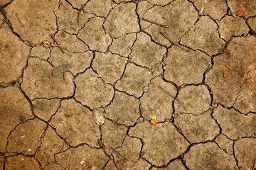 Soil
