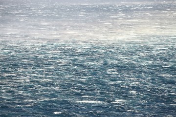 Fototapeta premium Waves