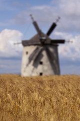 Old windmill in a cornfield