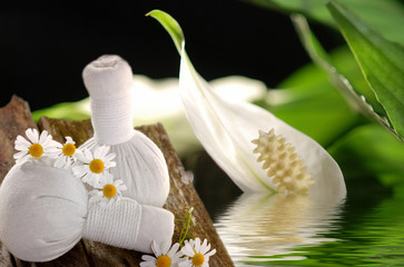 Kräuterstempel zur Massage mit Kamille