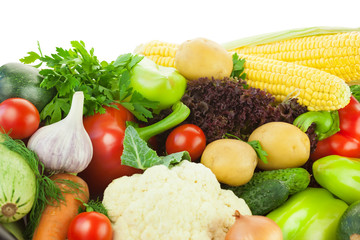Fresh Healthy Vegetables / Big Assortiment / with copy space