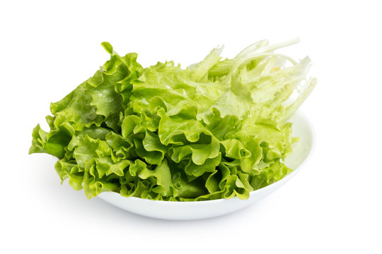 fresh lettuce salad in bowl