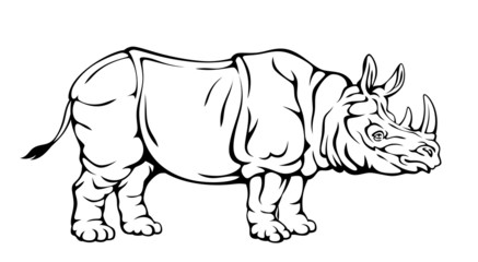 Rhinoceros