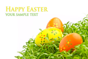 Decorative easter eggs in a grass