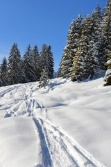 Spuren im Tiefschnee