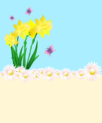 Bunter Hintergrund mit Gänseblümchen und Osterglocken
