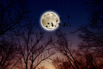 Full moon, ravens