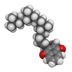 Vitamin K1 (phylloquinone) molecule