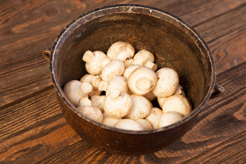 Mushrooms on a kitchen table