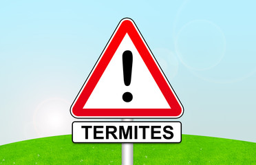 Diagnostic immobilier : termites