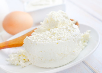 Milk products, fresh cottage in the white plate