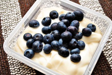 Yogurt and Blueberries in a Storage Container