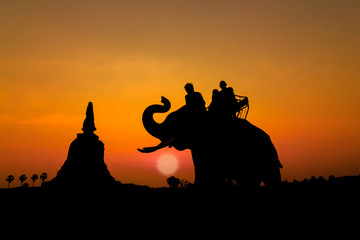 silhouette of elephants in Ayutthaya thailand.