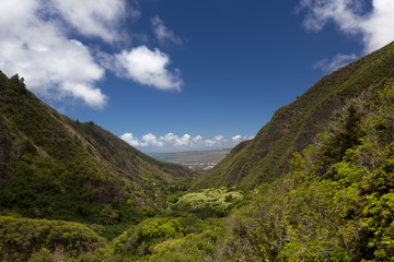 The city of Wailuku is visible between lush mountains