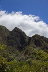 Lush green tropical mountains of Maui (vertical)