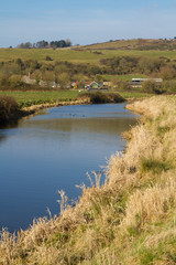 Fototapeta na wymiar Rzeka Axe w Somerset Anglii