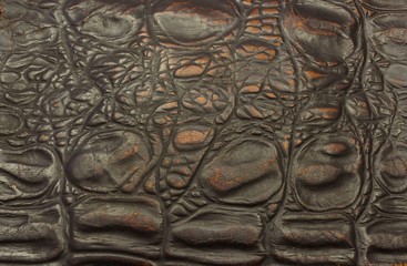 Texture -peau de crocodile