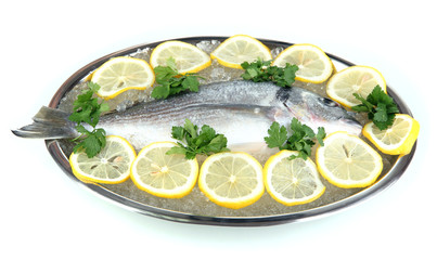 Fresh fish of dorado