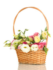 Fototapeta na wymiar Bouquet of eustoma flowers in wicker basket isolated on white