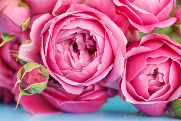 pink roses