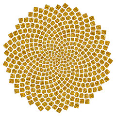 Naklejka premium Słoneczniki - nasiona - spirala Fibonacciego - złoty stosunek