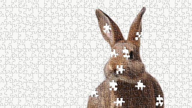 Hasenpuzzle