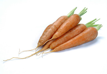 Heap of carrots