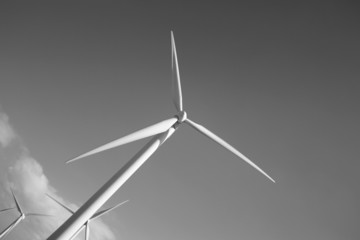 Wind turbine black and white (Lanzarote Canary Islands)