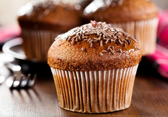 chocolate muffins