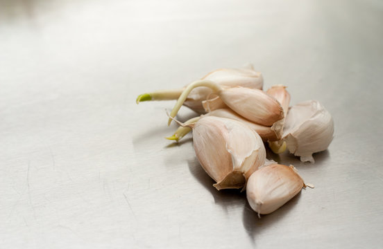 cloves of garlic on the gray metalic table