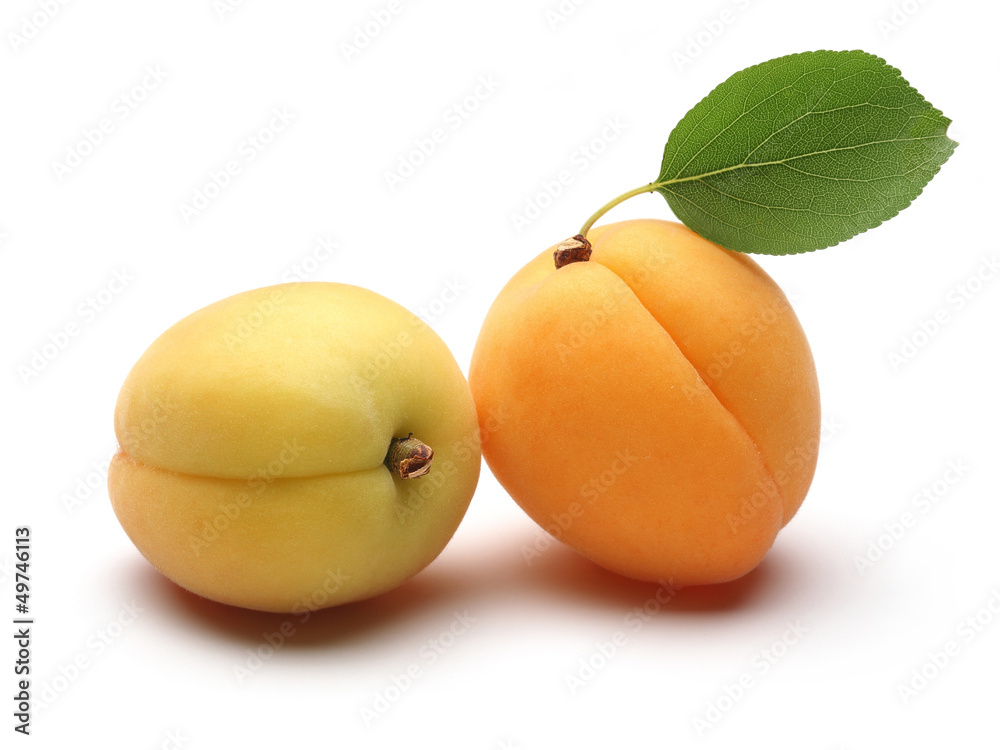 Poster fresh apricot fruits