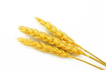 Simply grain