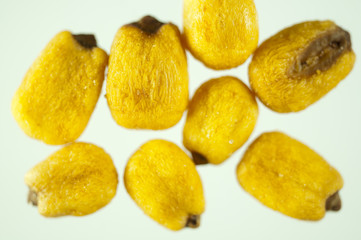 Maiz tostado