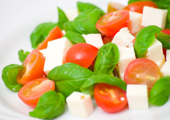 salad with tomato, cheese and basil