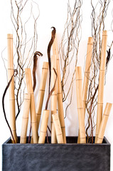 Composition bambous et branchages