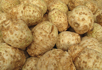 Celery roots celeriac pile © Uros Petrovic
