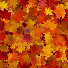 Naklejka na ściany i meble Autumn maple leaves, seamless background.