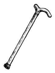hand drawn, vector cartoon image of walking stick