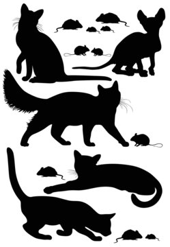 cats silhouettes