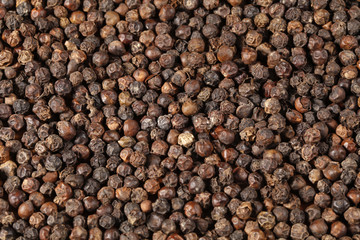 Black Pepper Corns