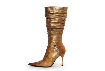 Elegant pair of woman's shoes isolated on a white background