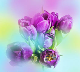 purple tulips on a  white wooden table