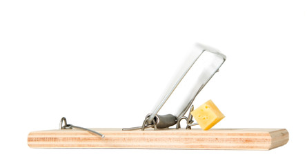 A mouse trap with cheese