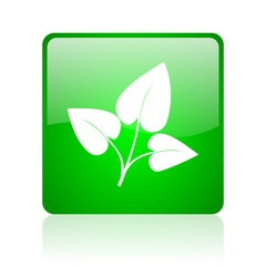 eco green square web icon on white background