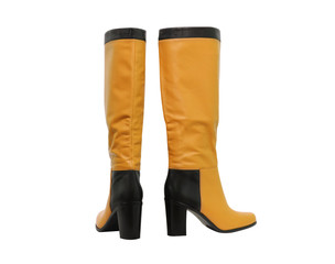 women shoes  on white background