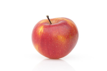 Red apple on a white background