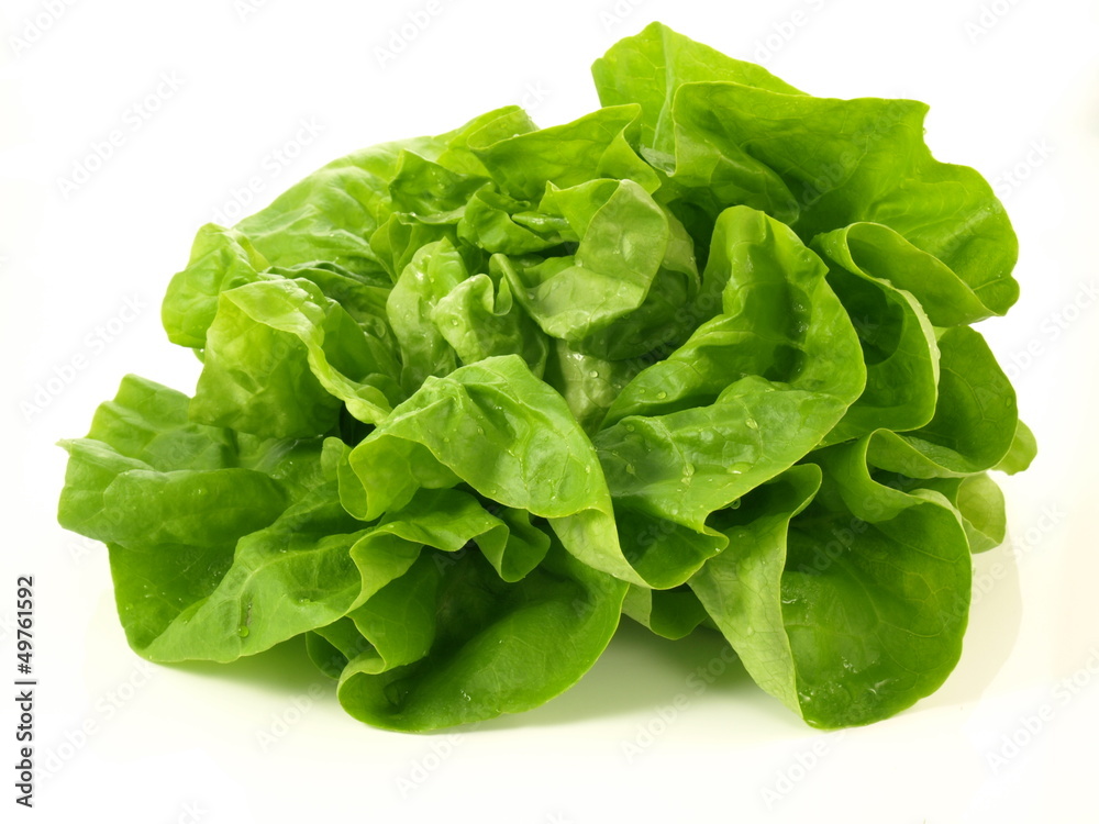 Poster lettuce head, isolated