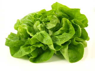 Lettuce head, isolated