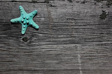Blue starfish on old barnwood fence star fish