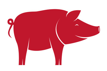 Vector image of an pig on white background